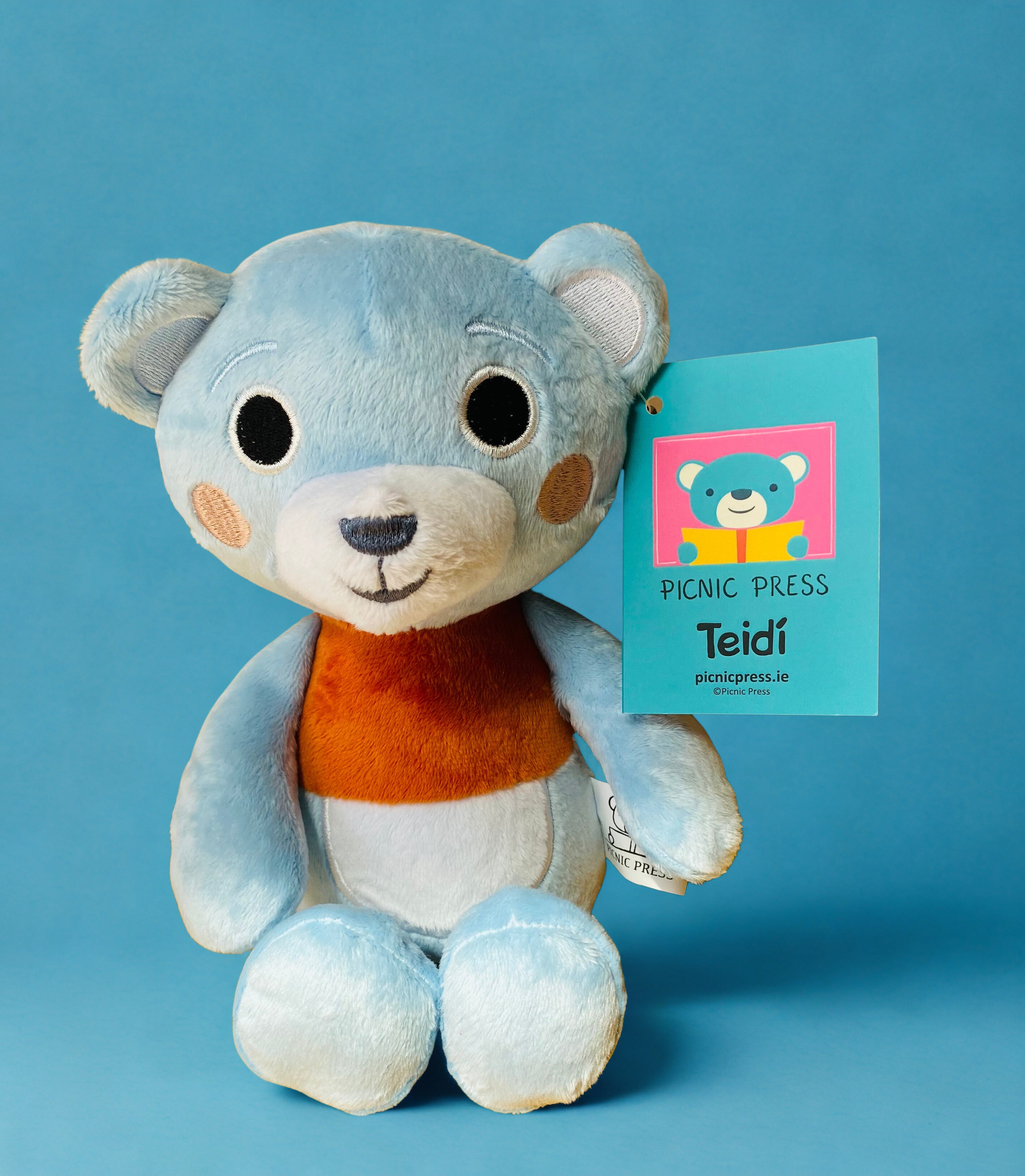 Teidí - teddy bear/béirín