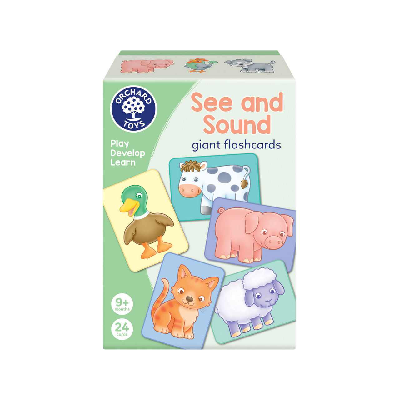 See and Sound Giant Flashcards
