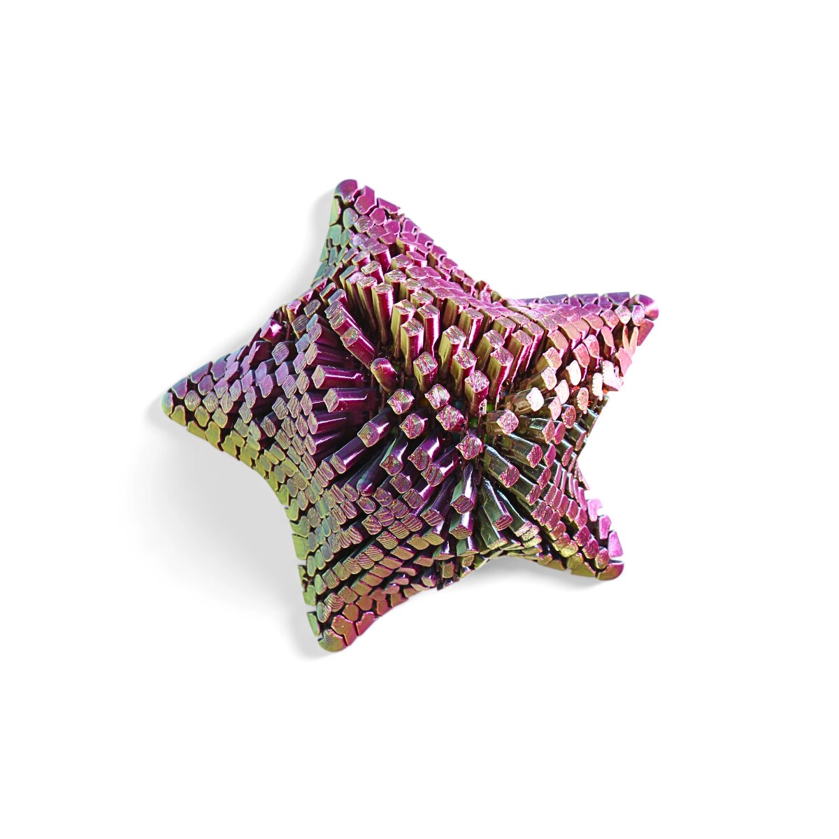 3D Starfish Fidget