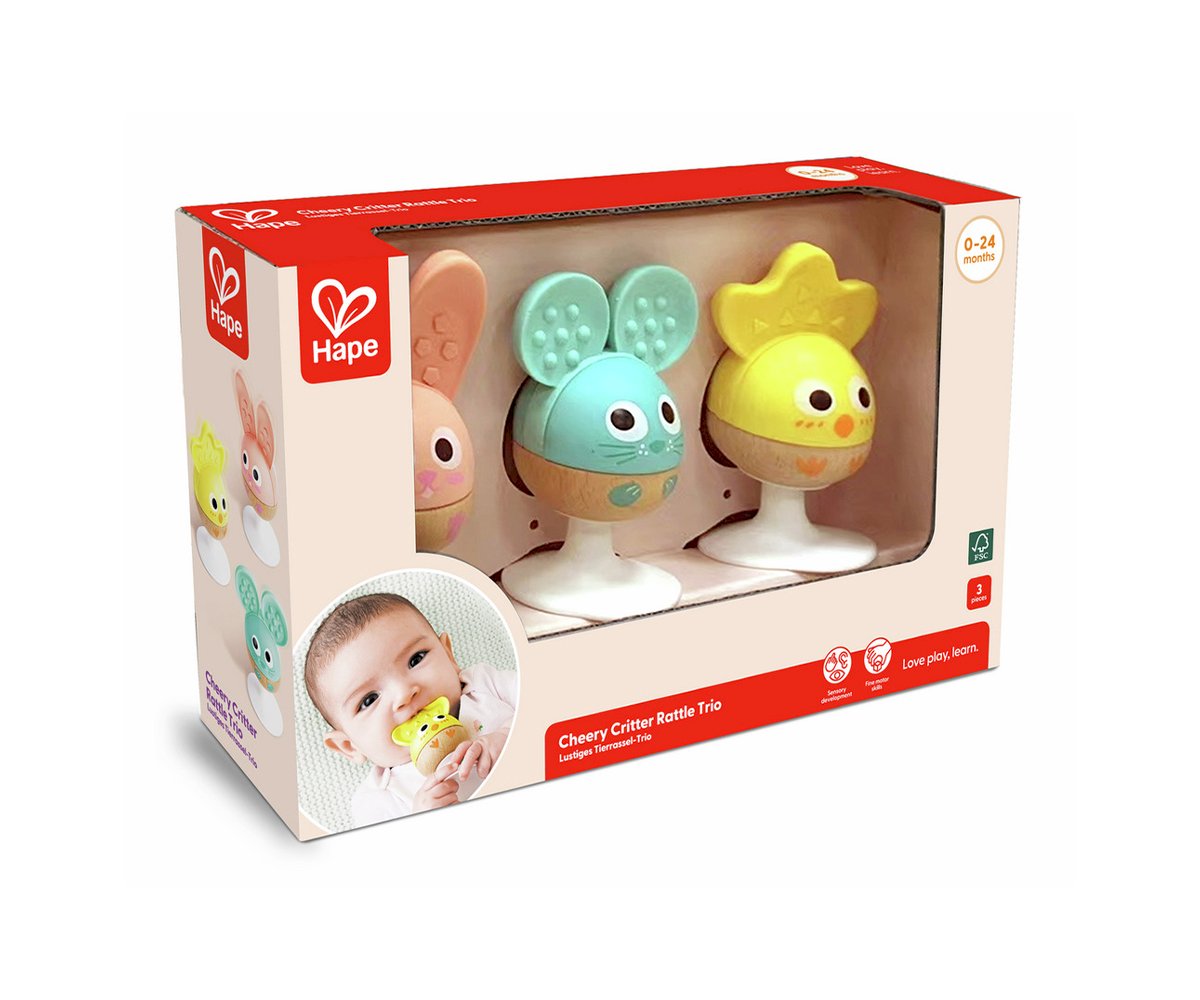 Rattle and Teether Sensory Set