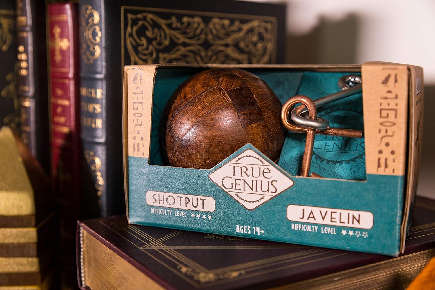 True Genius Brainteaser Wooden And Metal Puzzle Set