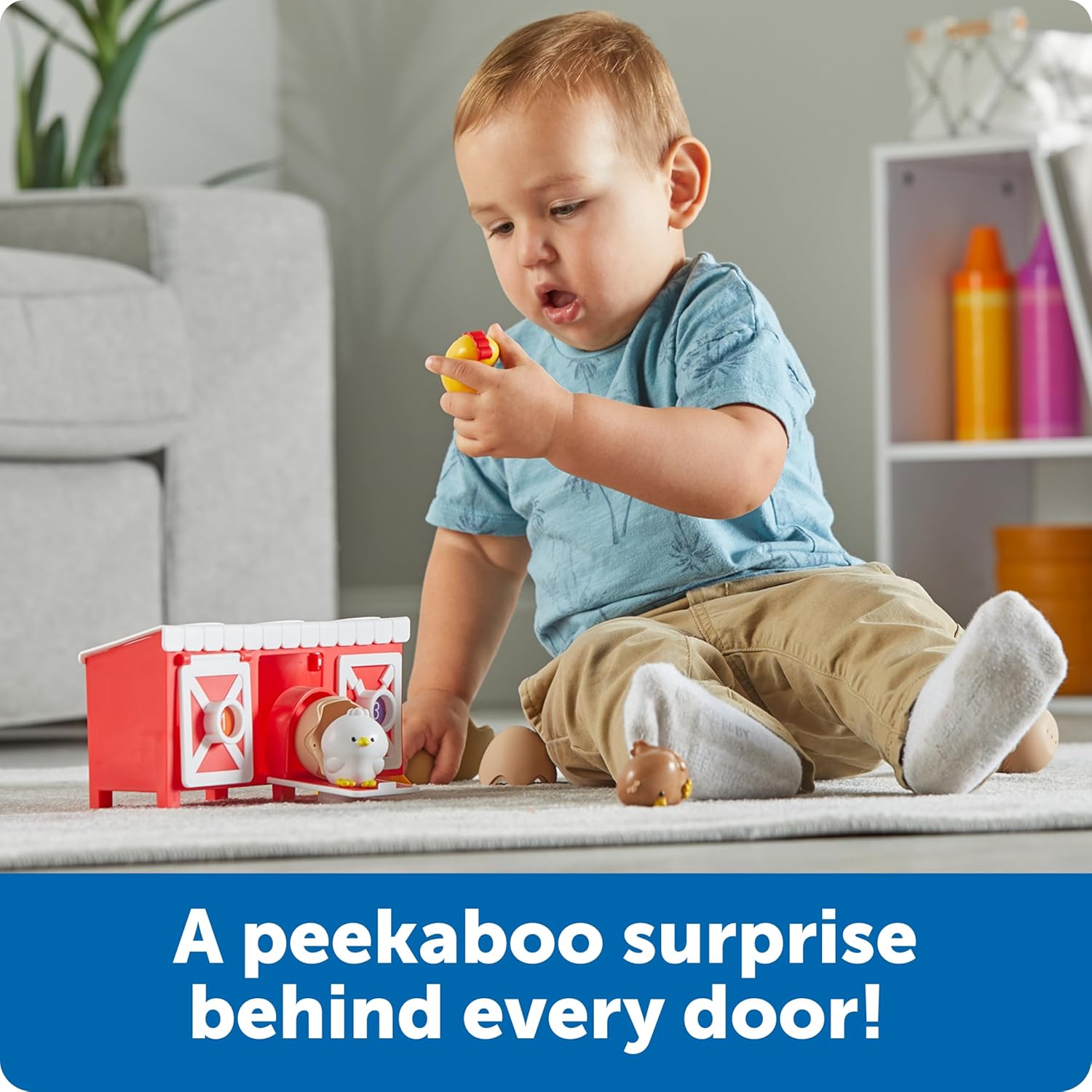 Peeksville Hide & Cheep Chicken Coop Learning Resources