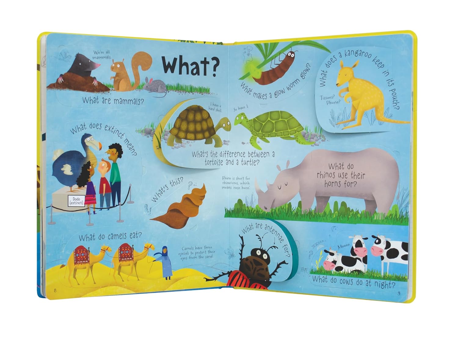 Questions and answers about animals