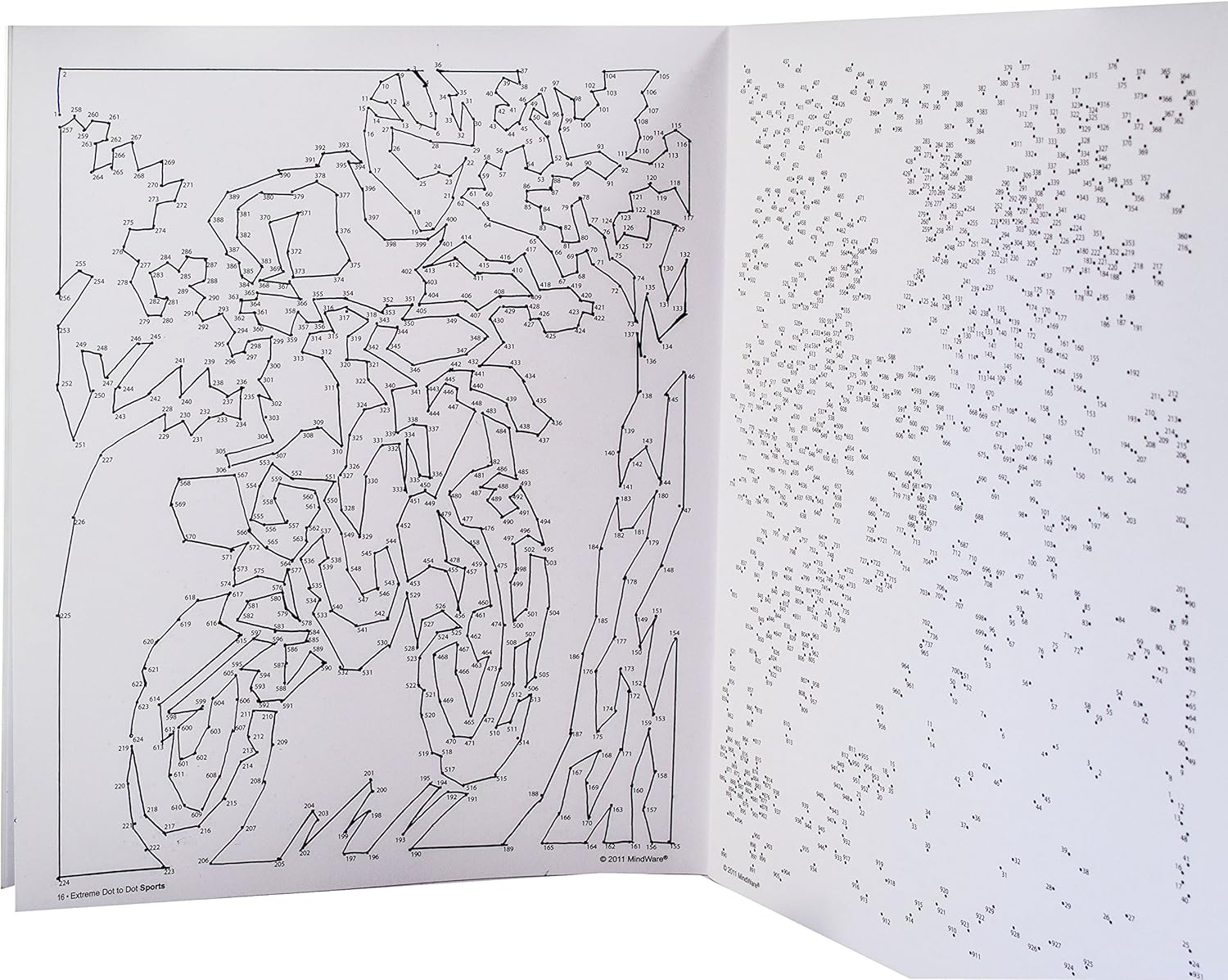 Extreme Dot to Dot Book - Sports