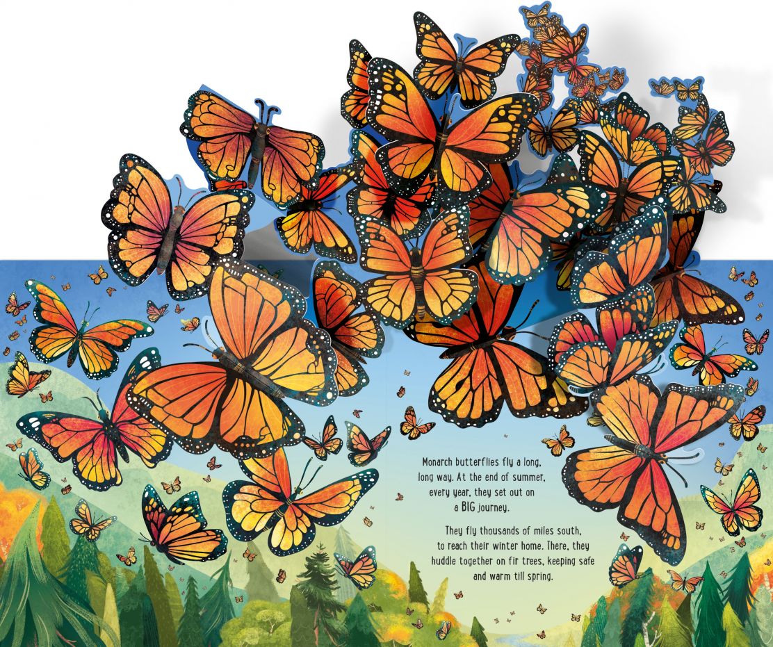 Usborne Pop-Up Butterflies