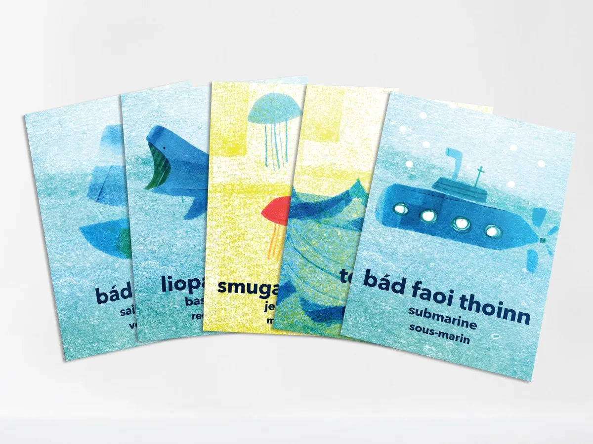 Luaschártaí Bundle - Flashcards