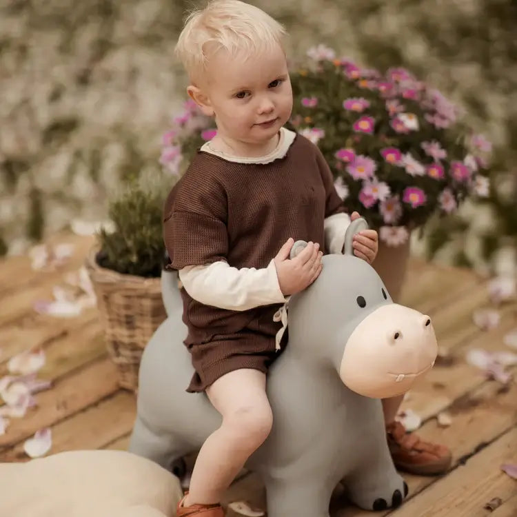 Holger The Hippo – Bouncing Animal Toy for Active Play