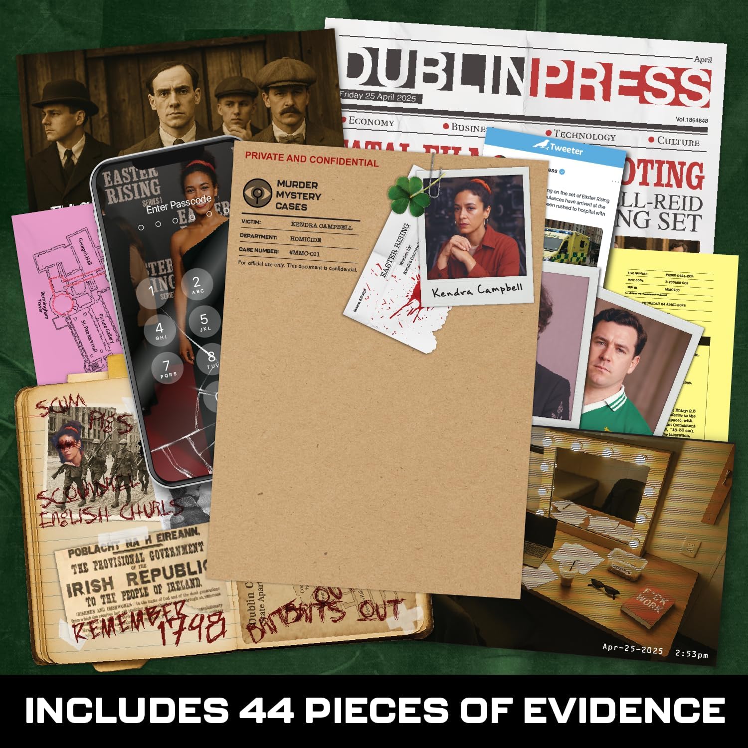 Murder At Dublin Castle