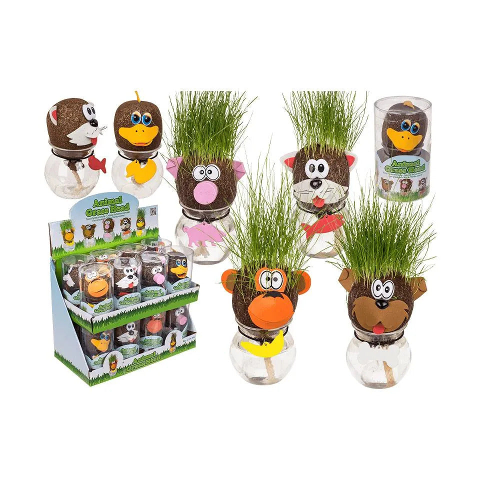 A collection of animal-shaped grass heads in glass jars, showing monkeys, dogs, and pigs with long green grass hair.