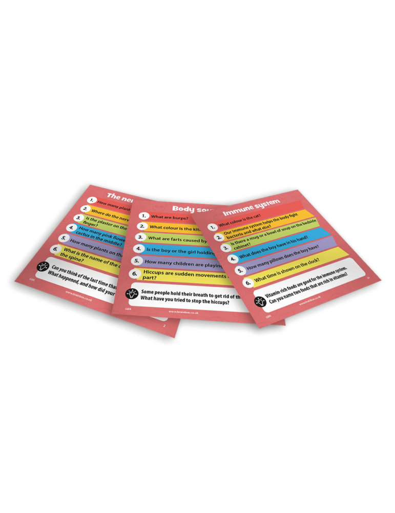 BrainBox Pocket The Body