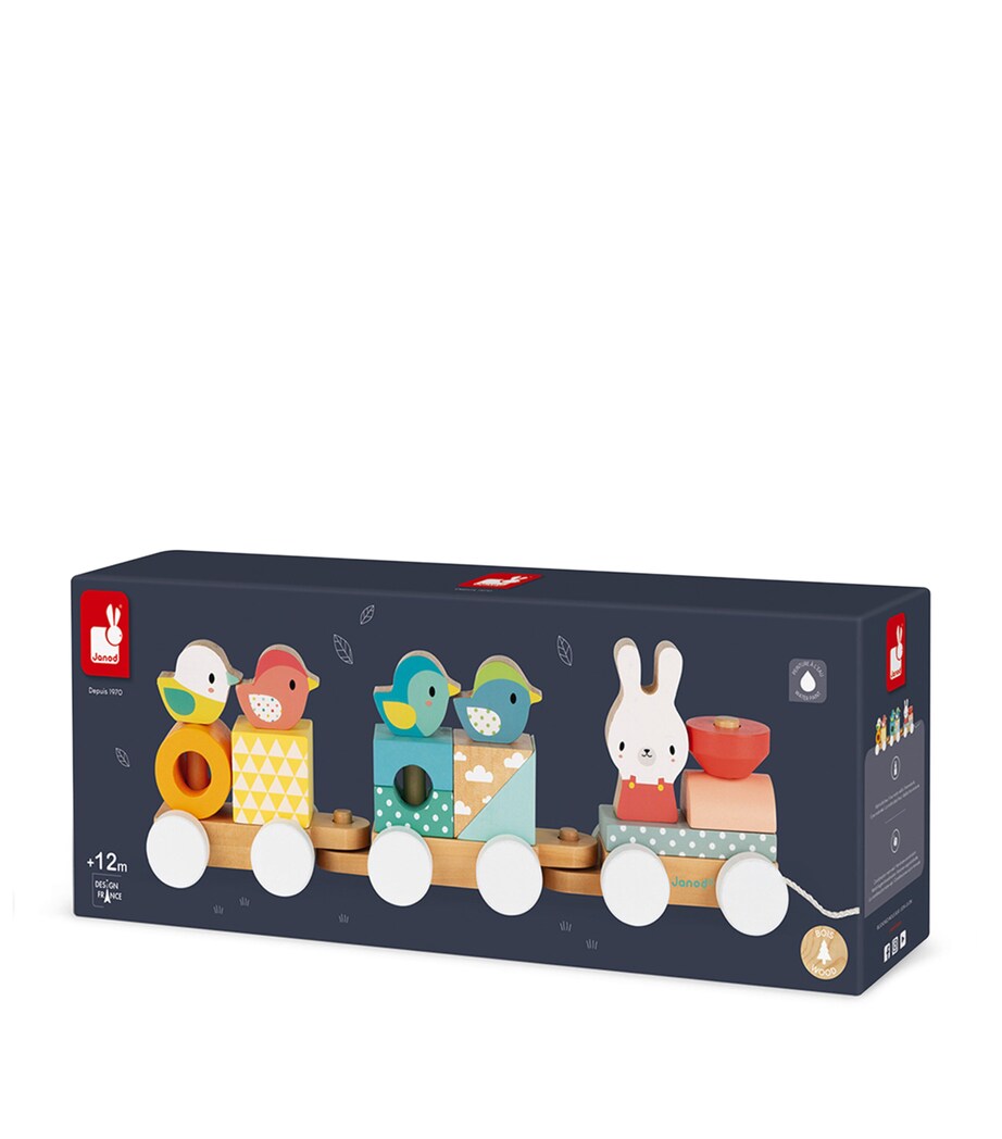 Janod Pure Train Pull-Along Toy