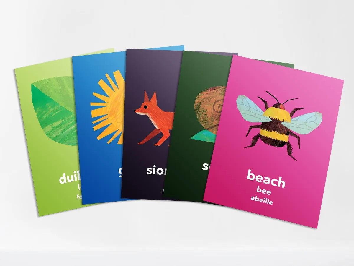 Luaschártaí Bundle - Flashcards