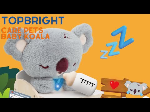 Care pets - Baby Koala