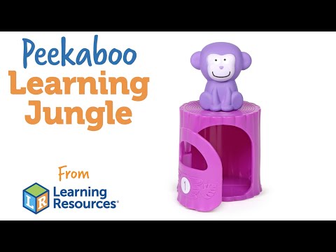 Peekaboo Learning Jungle