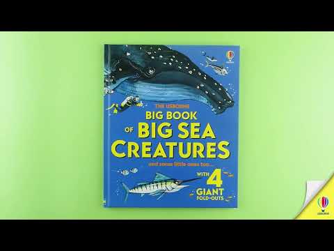 Big Book of Sea Creatures