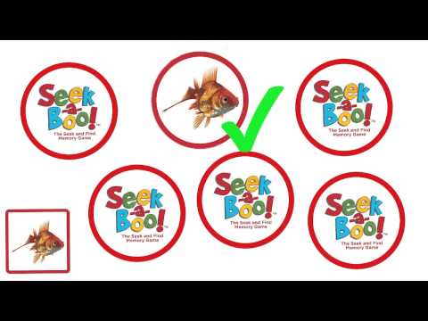 Seek-a-Boo!
