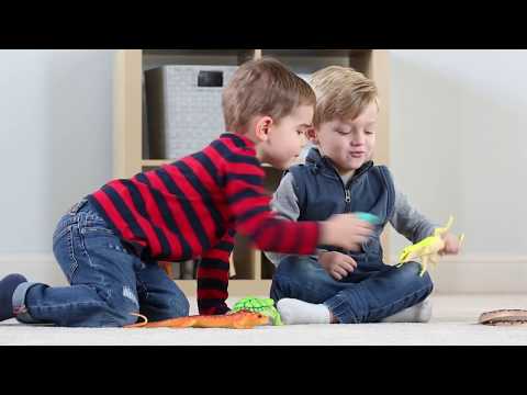 Jumbo Reptiles & Amphibians