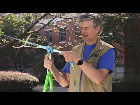 Swingset Gymnastics Line