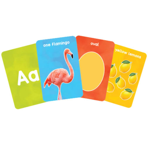 Skillmatics Flash Cards