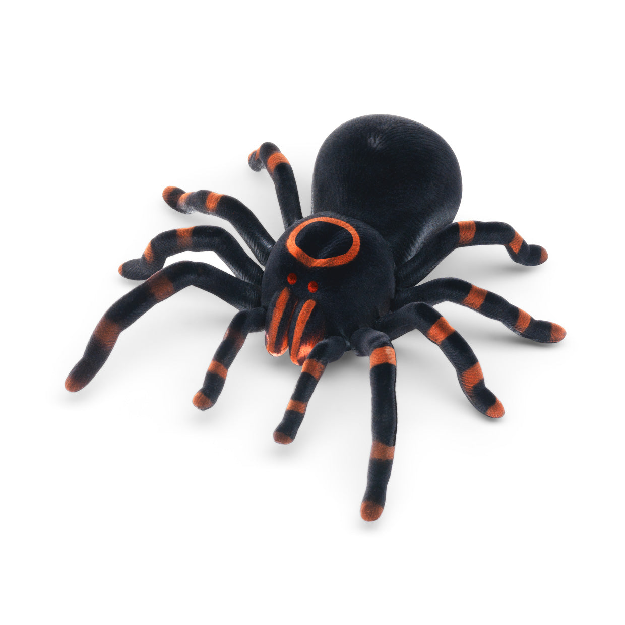 Remote Control Tarantula