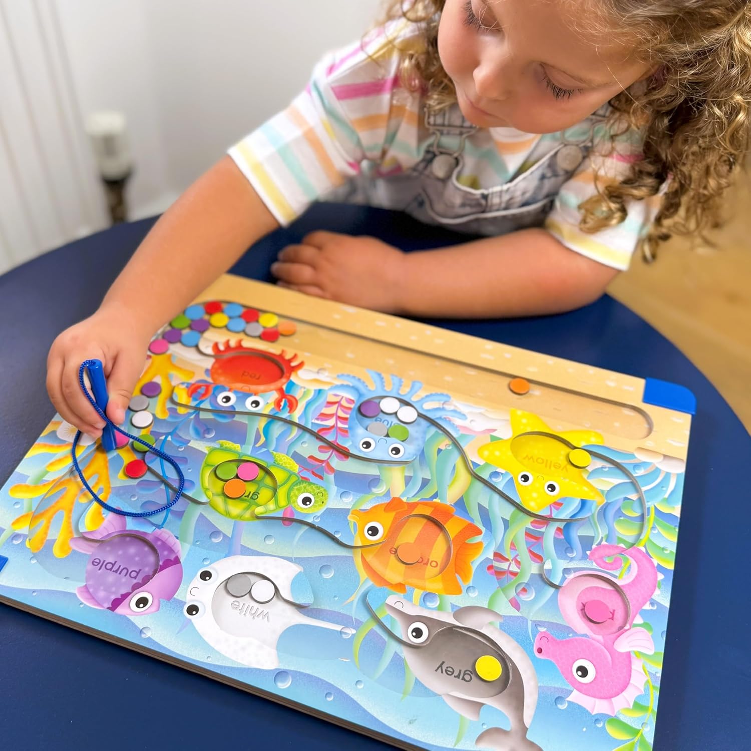 Sort and Learn magnetic puzzle colours
