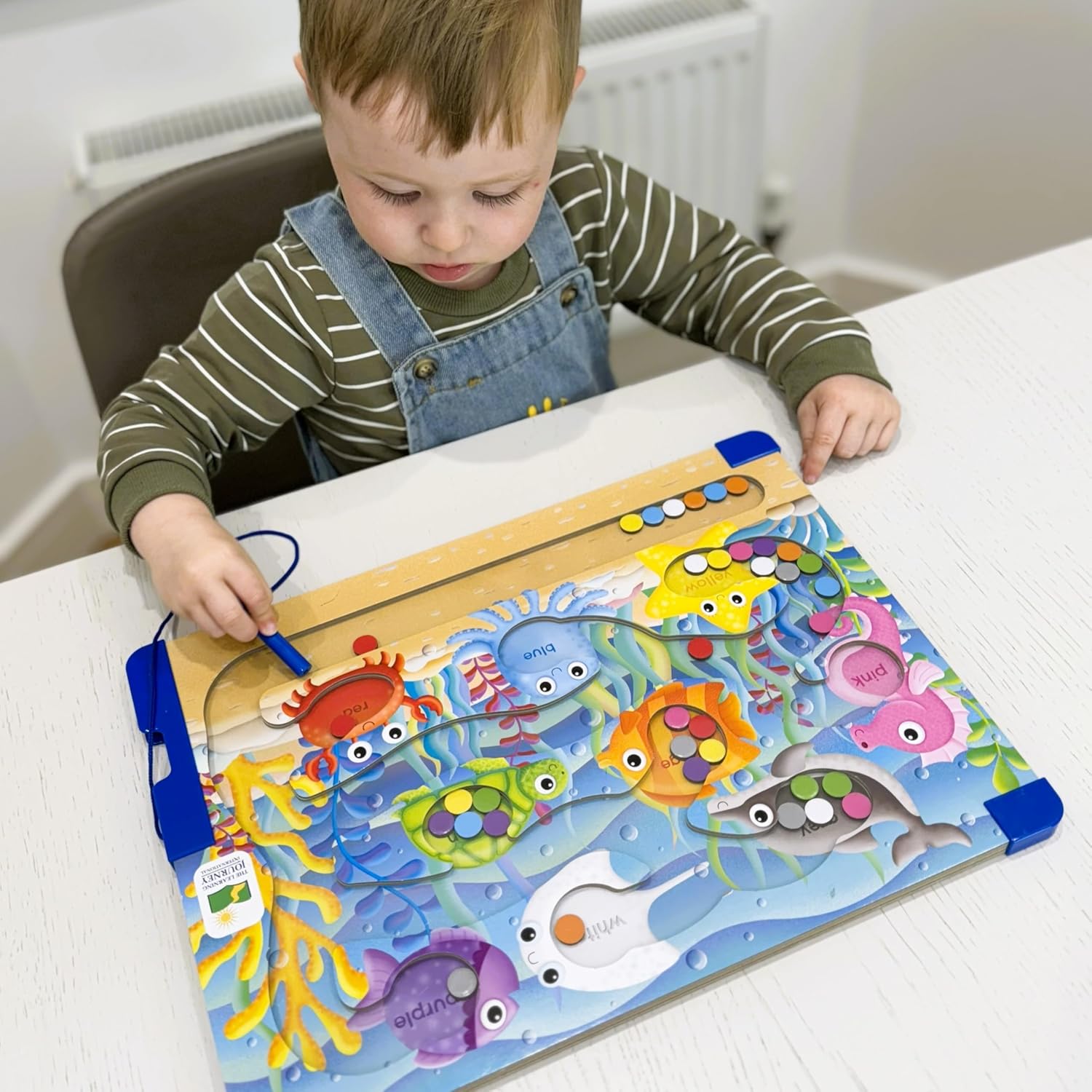 Sort and Learn magnetic puzzle colours