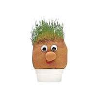 Mr Grass Head