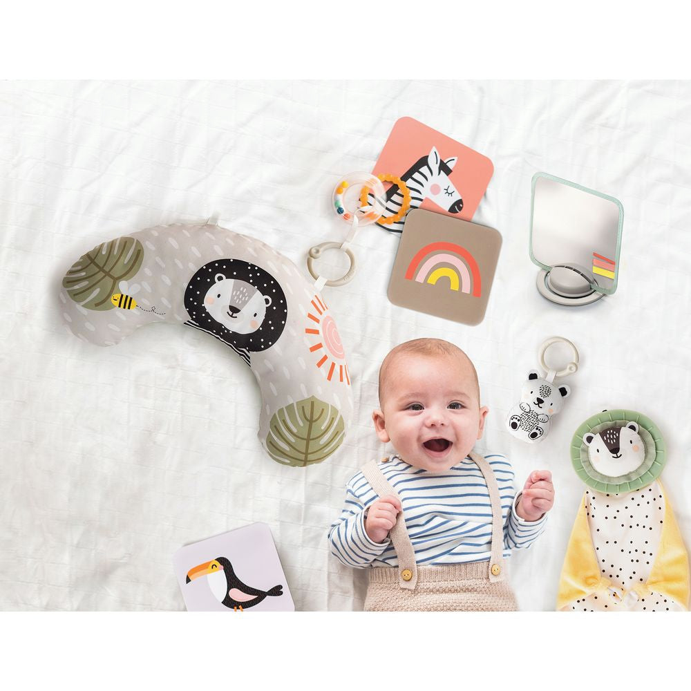 Taf Toys Newborn Develop And Play Gift Set