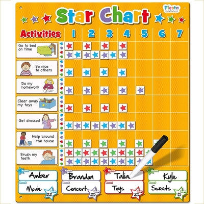 Large Magnetic Star Chart