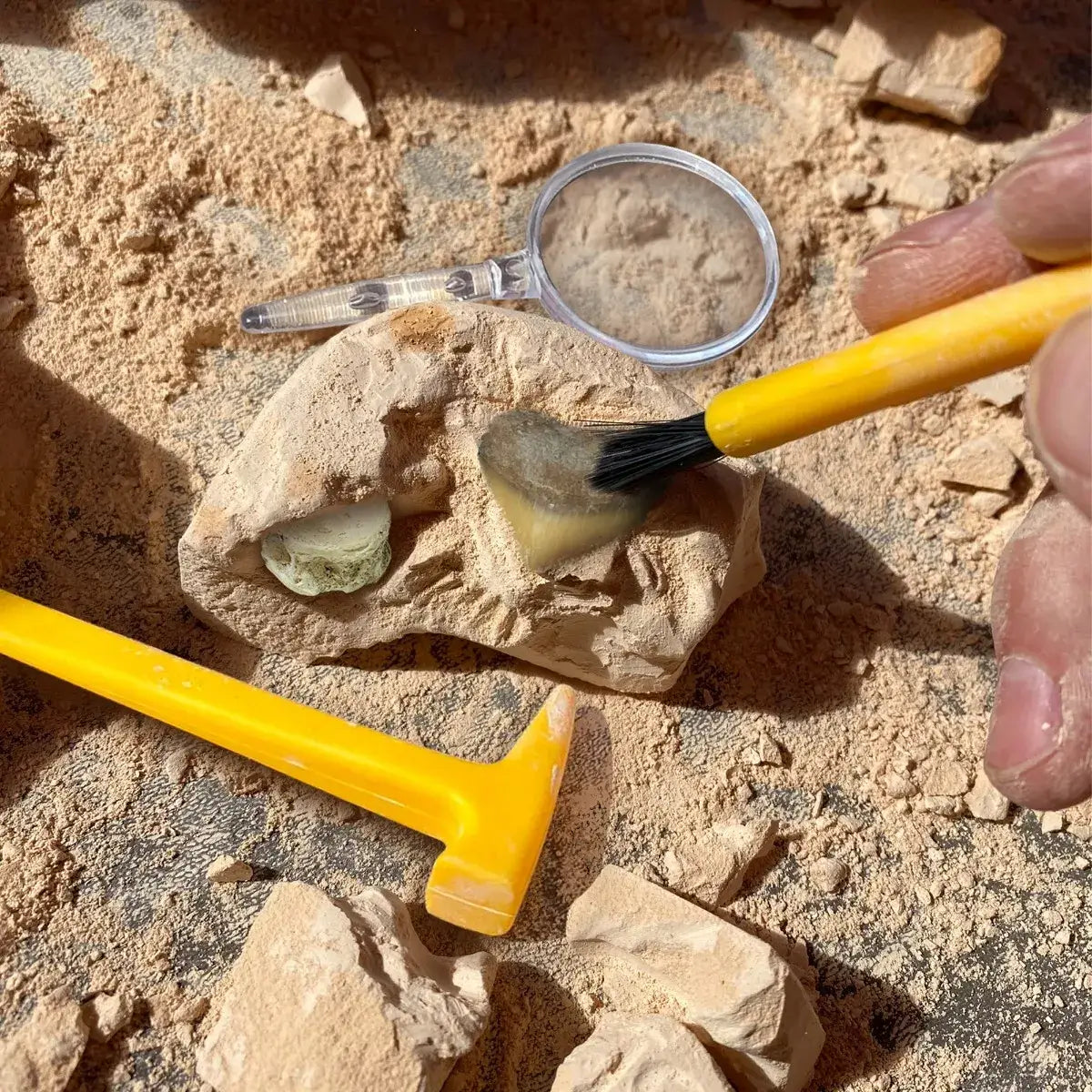 Geosafari® Fossil Excavation Kit