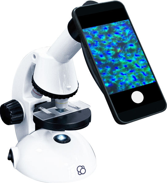 Microscope - Thames and Kosmos