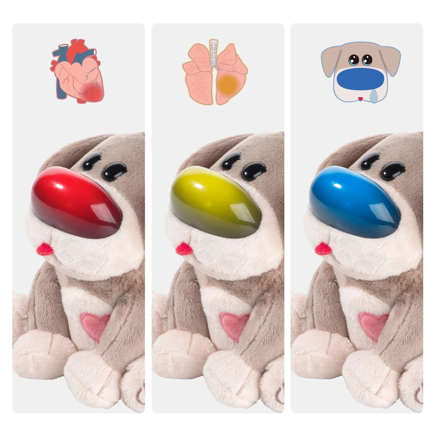 Care Pets – Dr. Dog