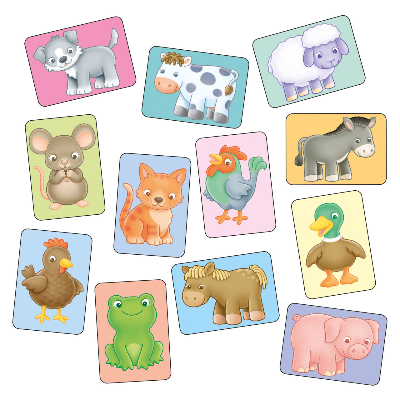 See and Sound Giant Flashcards