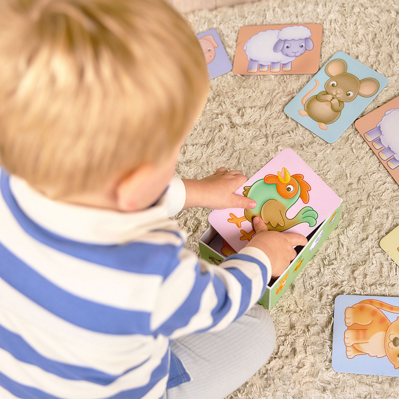 See and Sound Giant Flashcards