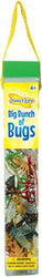 Big Bunch of Bugs