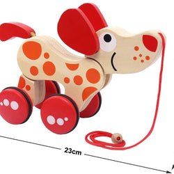 Hape Pepe Pull Along