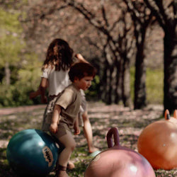 Hopper Bouncer  Ball - Turkish Rose 45 cm