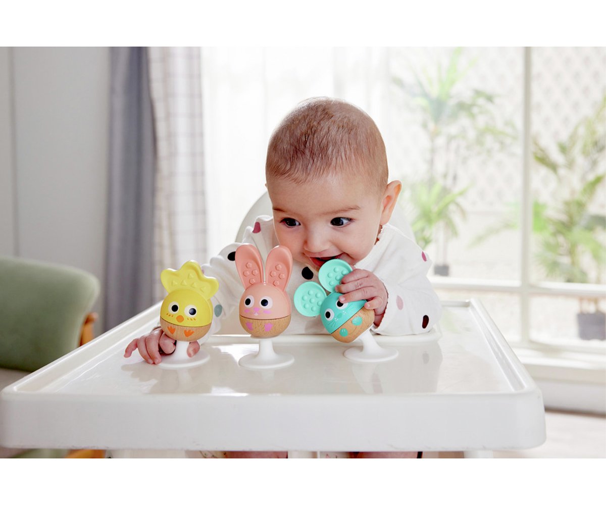 Rattle and Teether Sensory Set
