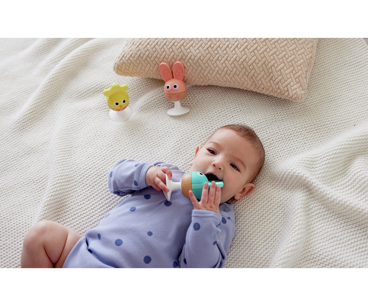 Rattle and Teether Sensory Set