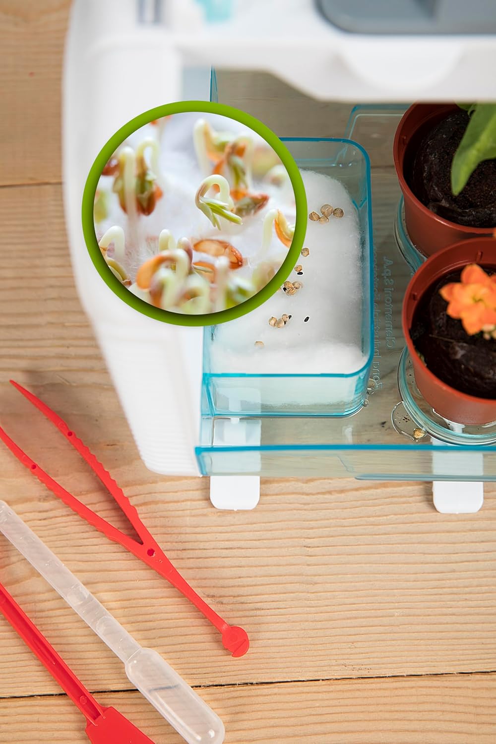 Smart-Tech Greenhouse