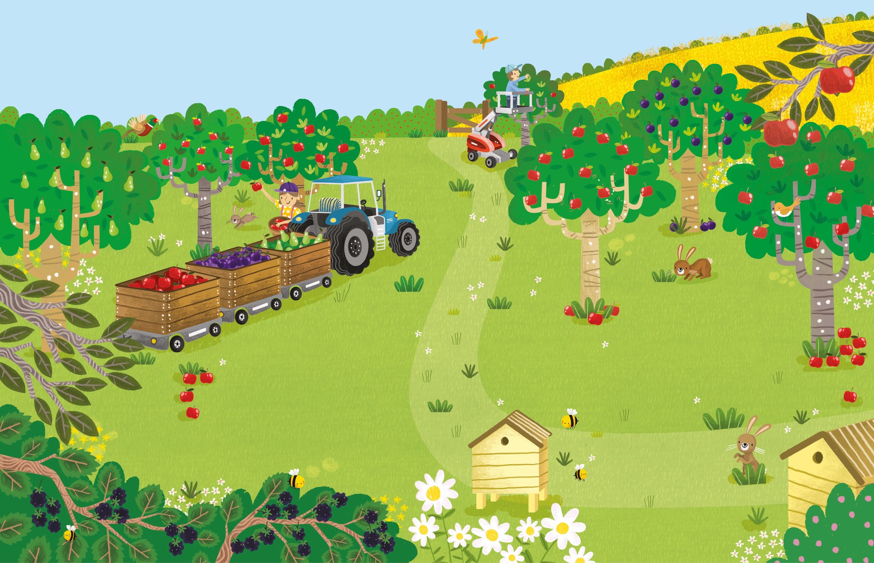 First Sticker Book Farm