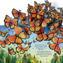 Usborne Pop-Up Butterflies