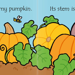 That's not my pumpkin