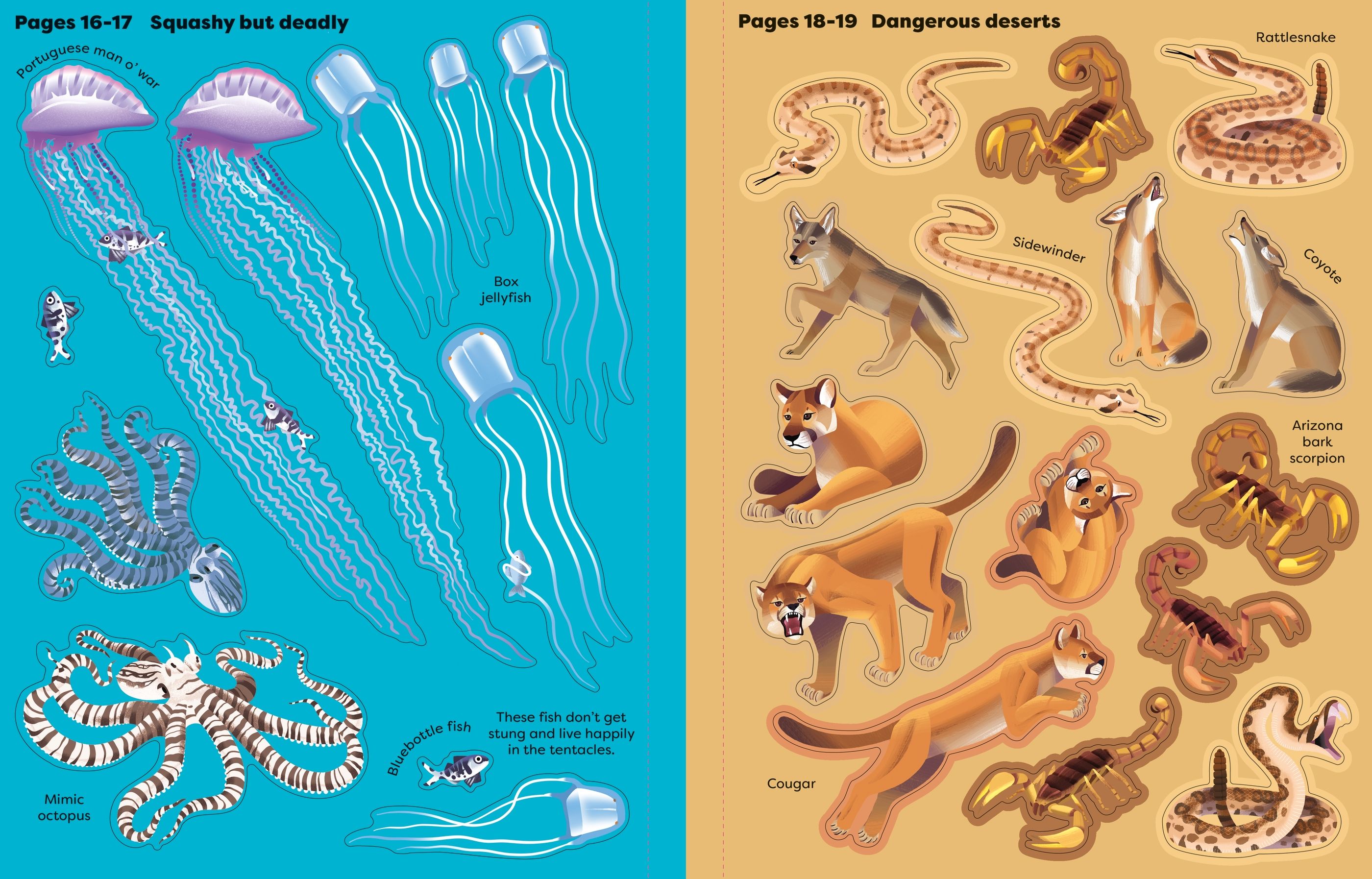 Big Sticker Book Deadly Animals