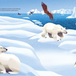 Big Sticker Book Deadly Animals