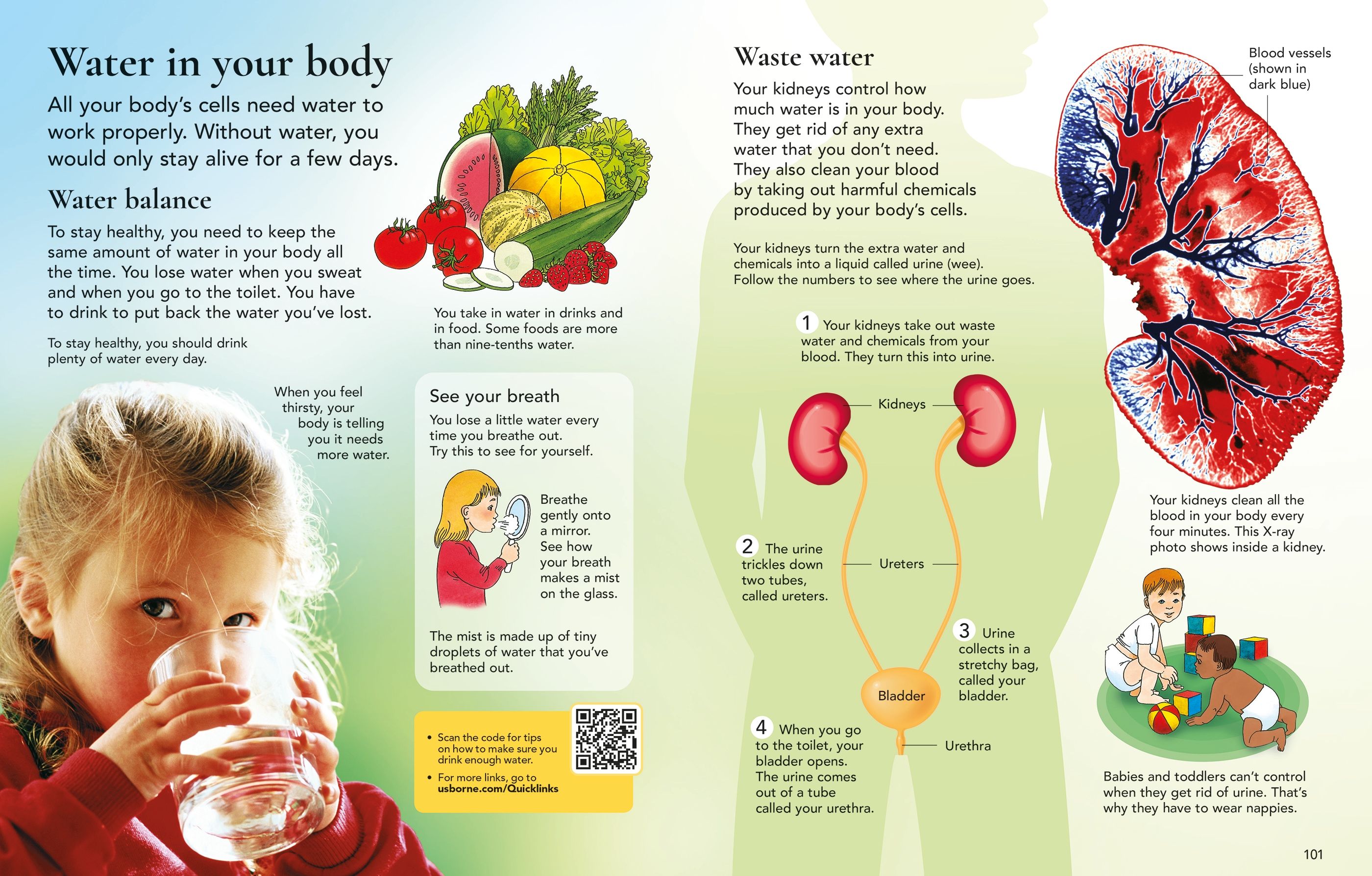 The Usborne Children's Encyclopedia