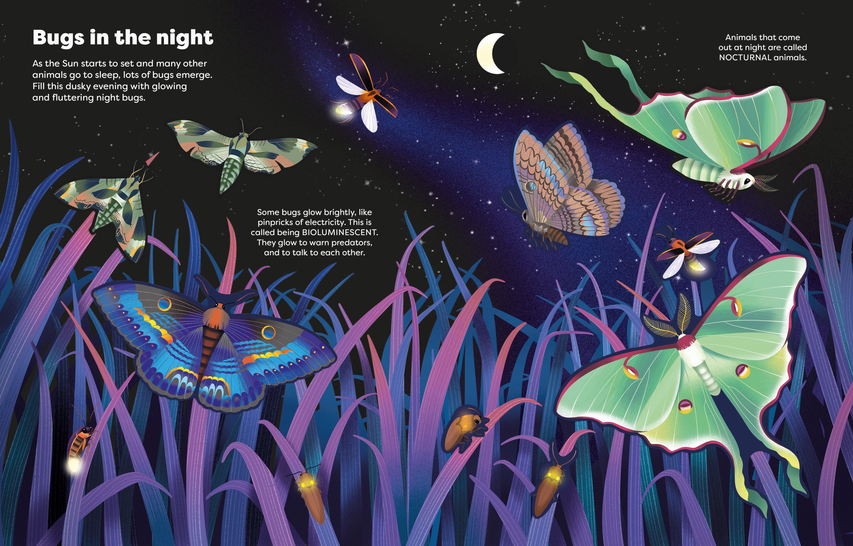 Big Sticker Book Bugs