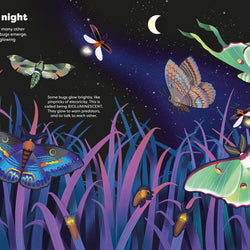 Big Sticker Book Bugs