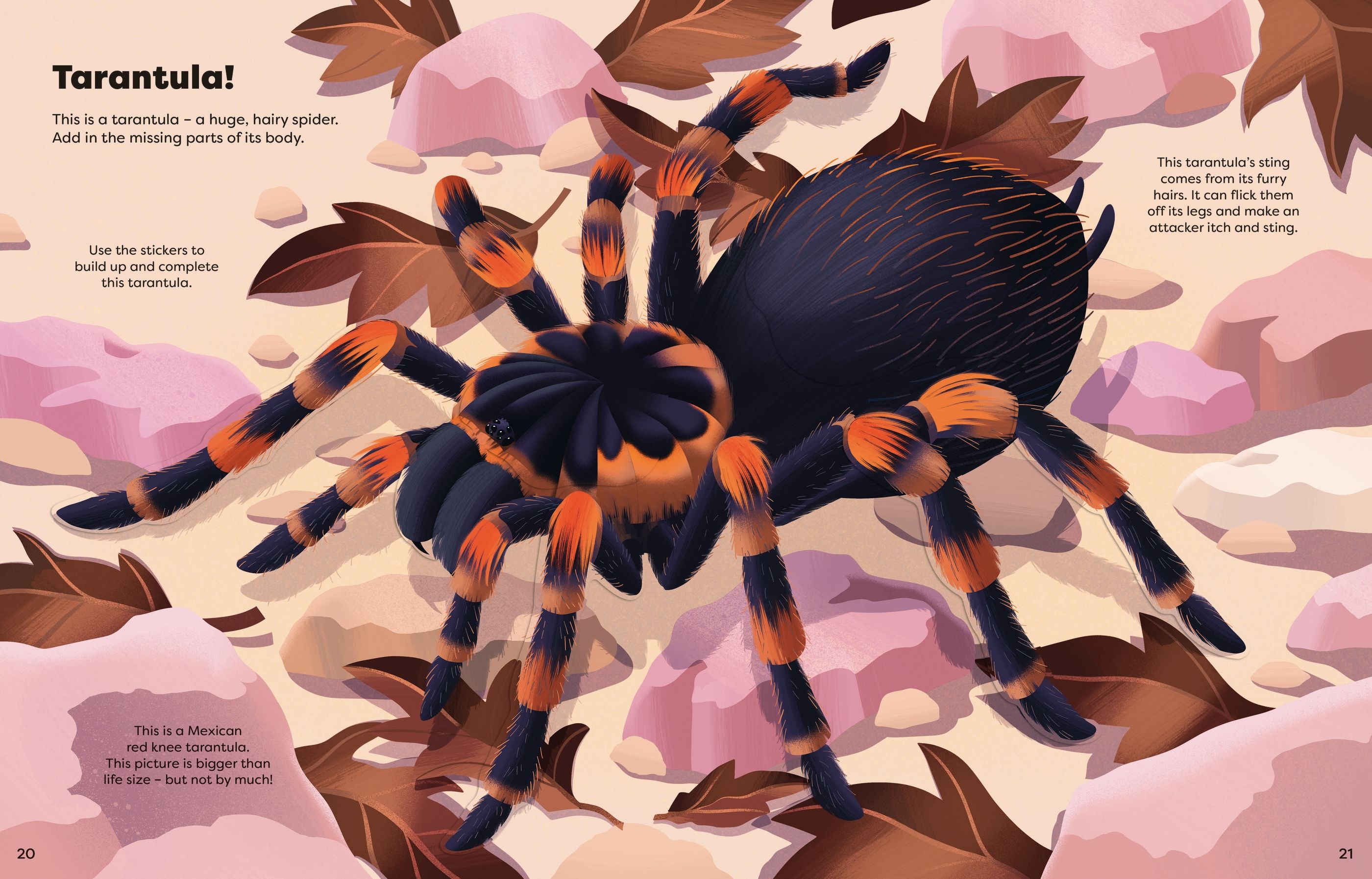 Big Sticker Book Bugs