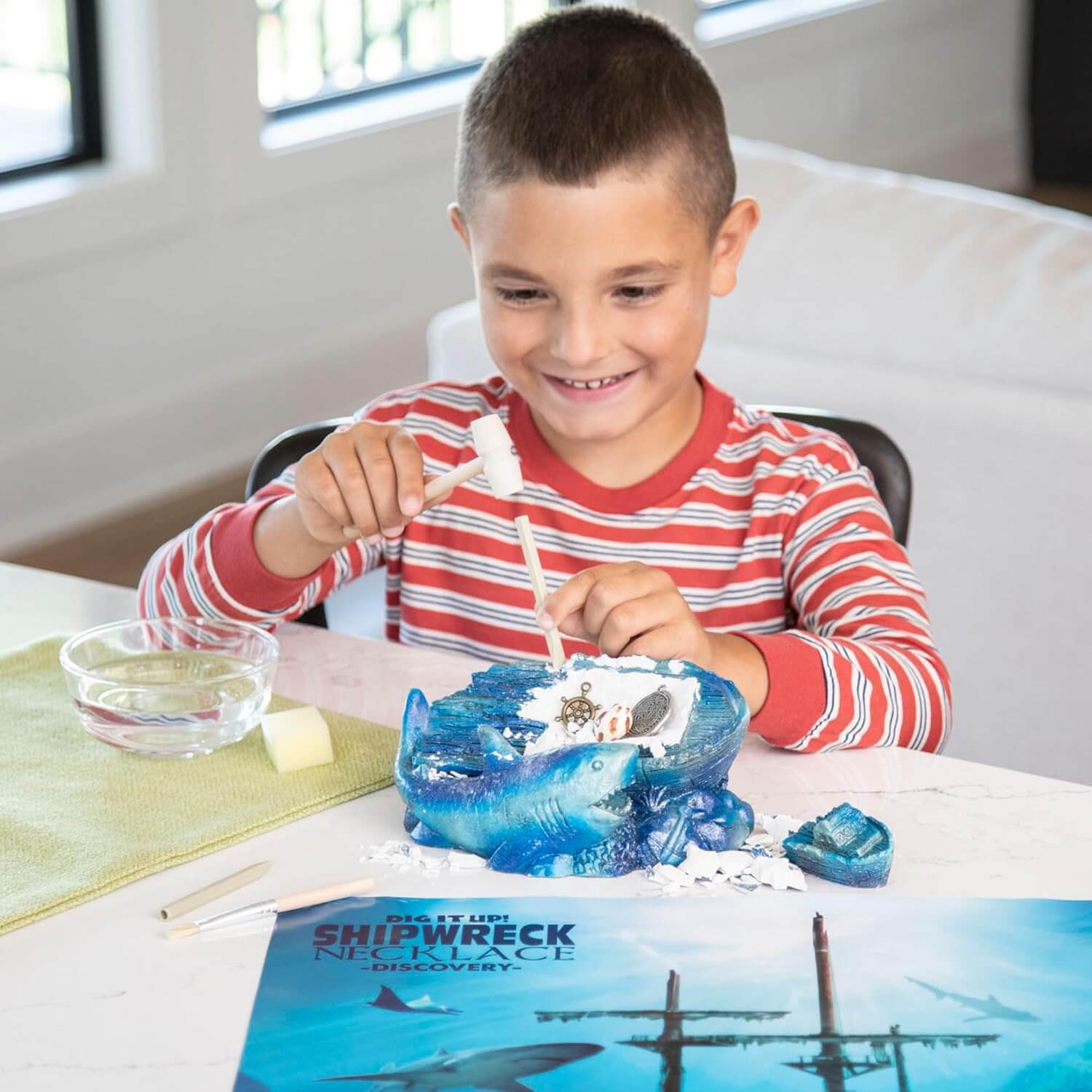 Dig It Up! Shipwreck Discovery Dig Kit